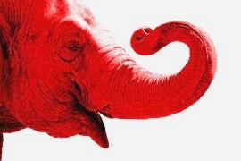 ADLER :: KOMMUNIKATION | Roter Elefant